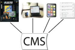 Content Management Systems diagram